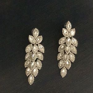 Fancy silver earrings